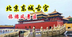wwww.日逼中国北京-东城古宫旅游风景区